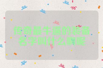 传奇最牛逼的装备名字叫什么啊呢