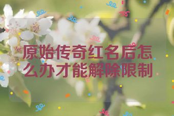 原始传奇红名后怎么办才能解除限制