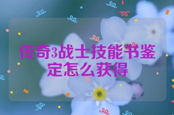 传奇3战士技能书鉴定怎么获得