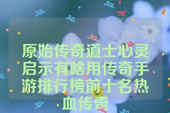 原始传奇道士心灵启示有啥用传奇手游排行榜前十名热血传奇