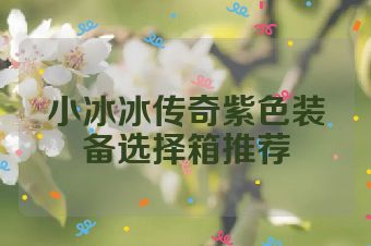 小冰冰传奇紫色装备选择箱推荐