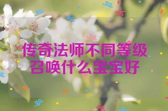 传奇法师不同等级召唤什么宝宝好
