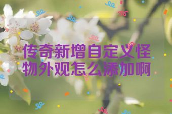 传奇新增自定义怪物外观怎么添加啊