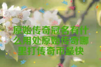 原始传奇冠名有什么用处原始传奇哪里打传奇币最快