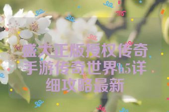 盛大正版授权传奇手游传奇世界h5详细攻略最新