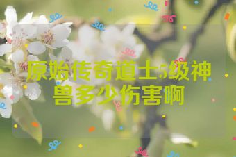 原始传奇道士5级神兽多少伤害啊