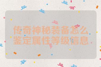传奇神秘装备怎么鉴定属性等级信息