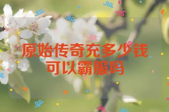 原始传奇充多少钱可以霸服吗