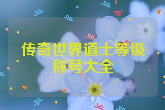 传奇世界道士等级称号大全