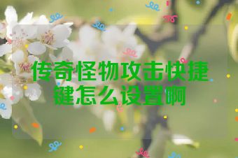传奇怪物攻击快捷键怎么设置啊