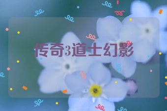 传奇3道士幻影