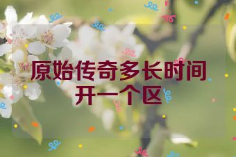 原始传奇多长时间开一个区