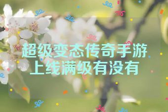 超级变态传奇手游上线满级有没有