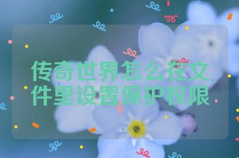 传奇世界怎么在文件里设置保护权限