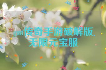 gm传奇手游破解版无限元宝服