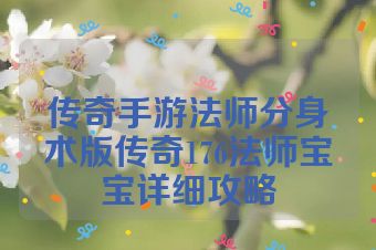 传奇手游法师分身术版传奇176法师宝宝详细攻略