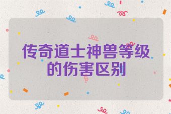传奇道士神兽等级的伤害区别