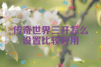 传奇世界三开怎么设置比较好用