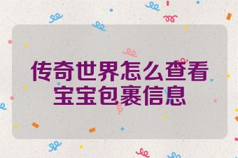 传奇世界怎么查看宝宝包裹信息