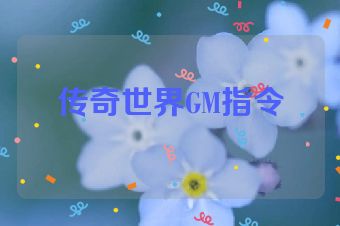 传奇世界GM指令