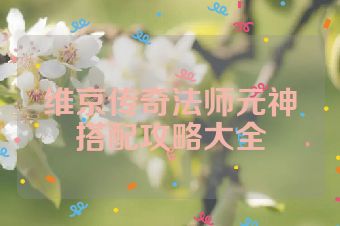 维京传奇法师元神搭配攻略大全