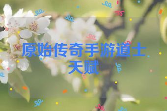 原始传奇手游道士天赋