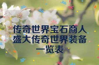 传奇世界宝石商人盛大传奇世界装备一览表