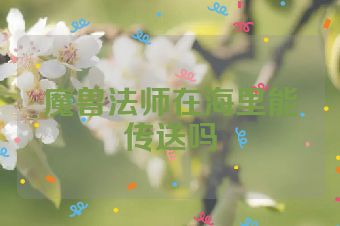 魔兽法师在海里能传送吗