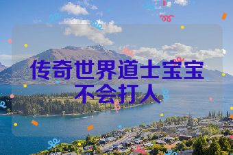 传奇世界道士宝宝不会打人