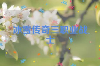 冰雪传奇三职业战士