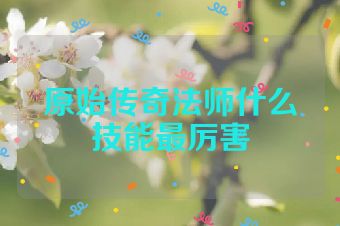 原始传奇法师什么技能最厉害