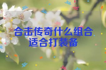 合击传奇什么组合适合打装备