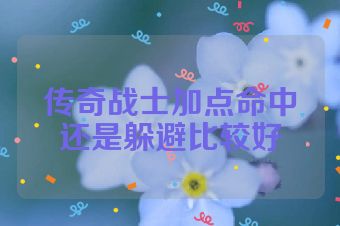 传奇战士加点命中还是躲避比较好