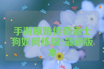手游原始传奇道士狗如何练级?最新版本