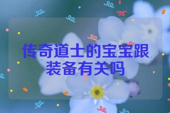 传奇道士的宝宝跟装备有关吗