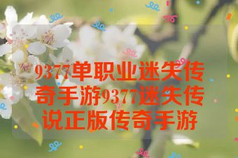 9377单职业迷失传奇手游9377迷失传说正版传奇手游
