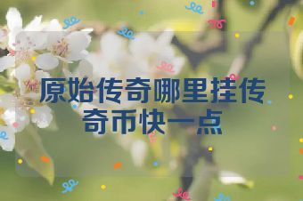 原始传奇哪里挂传奇币快一点