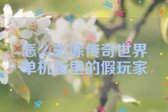 怎么去除传奇世界单机版里的假玩家