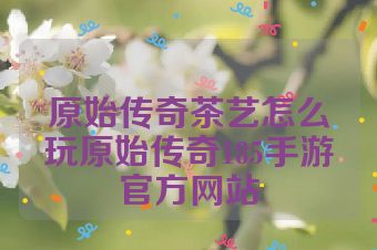 原始传奇茶艺怎么玩原始传奇185手游官方网站