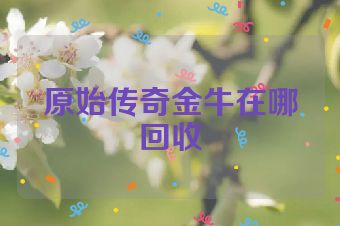 原始传奇金牛在哪回收