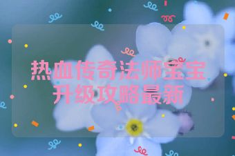 热血传奇法师宝宝升级攻略最新