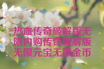 热血传奇破解版无限内购传奇破解版无限元宝无限金币