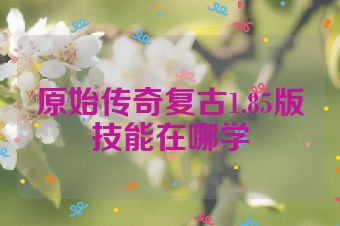 原始传奇复古1.85版技能在哪学