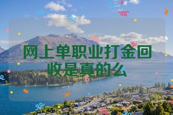 网上单职业打金回收是真的么