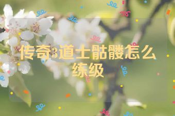 传奇3道士骷髅怎么练级