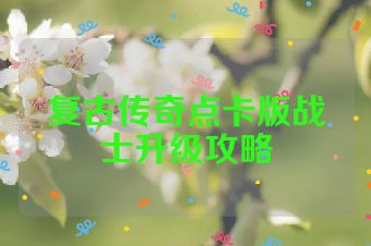 复古传奇点卡版战士升级攻略