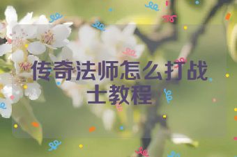 传奇法师怎么打战士教程