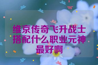 维京传奇飞升战士搭配什么职业元神最好啊