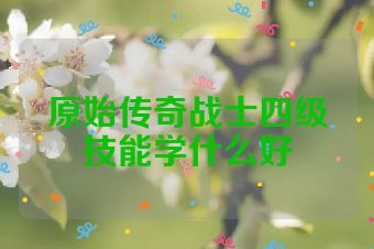 原始传奇战士四级技能学什么好