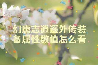 幻唐志逍遥外传装备属性数值怎么看
